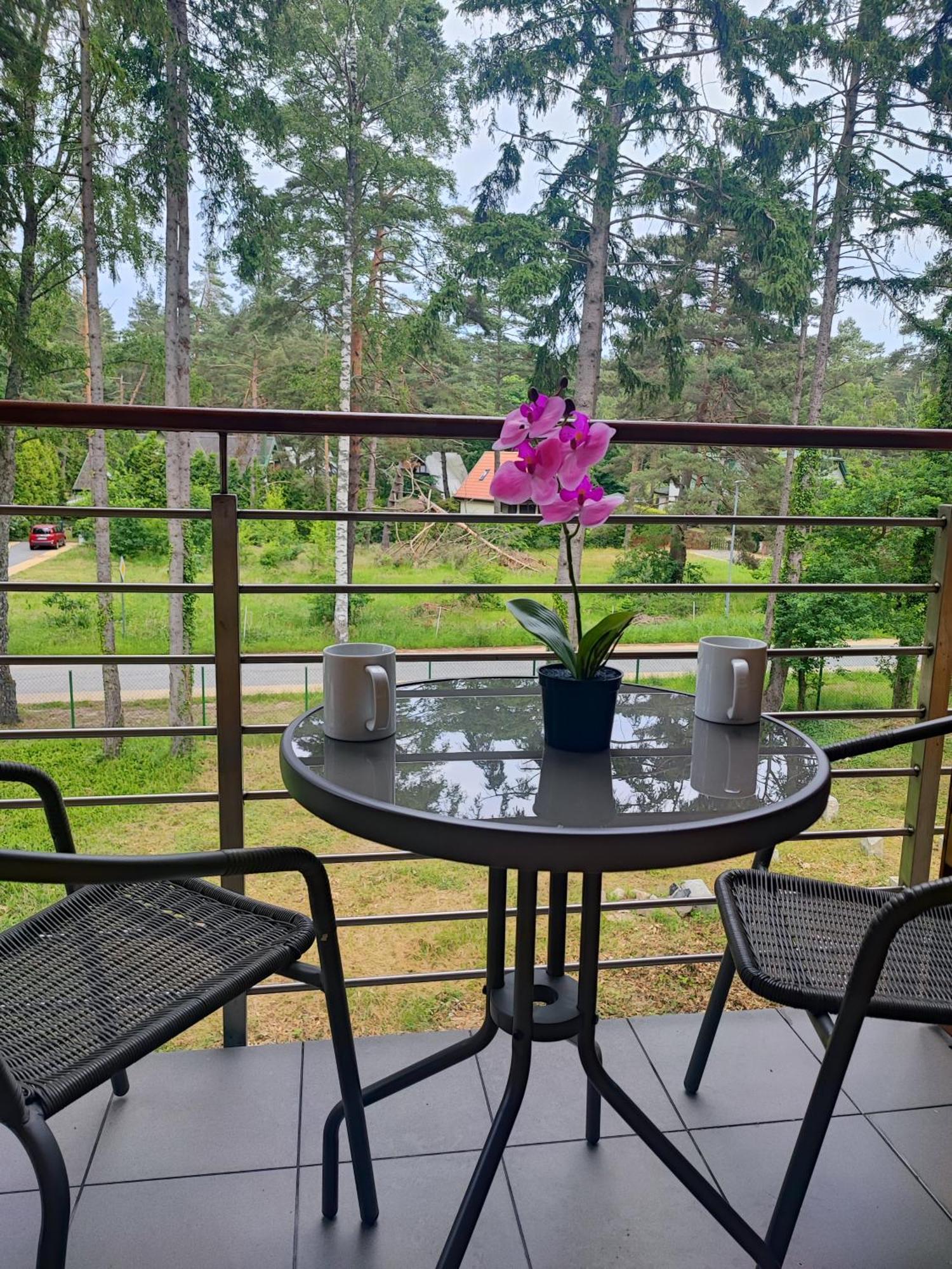 Apartamenty Poddabek- Basen Kryty, Sauna, Animacje Dla Dzieci , Malpi Gaj, Baseny Na Dachu Poddąbie Exterior foto